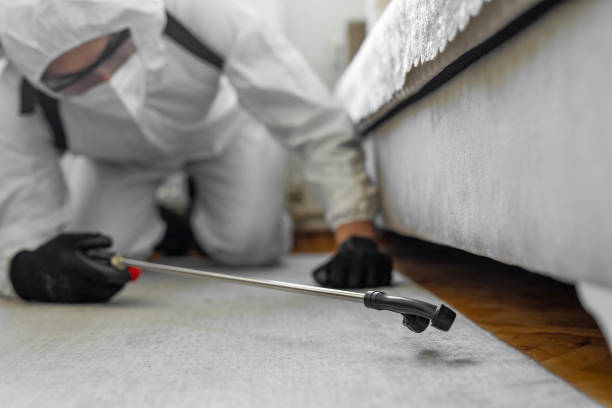 Professional Bed Bug Control technician working in Inyo County County, CA